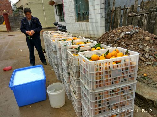 技術服務 宣傳推廣 農一網道縣工作站 再出發
